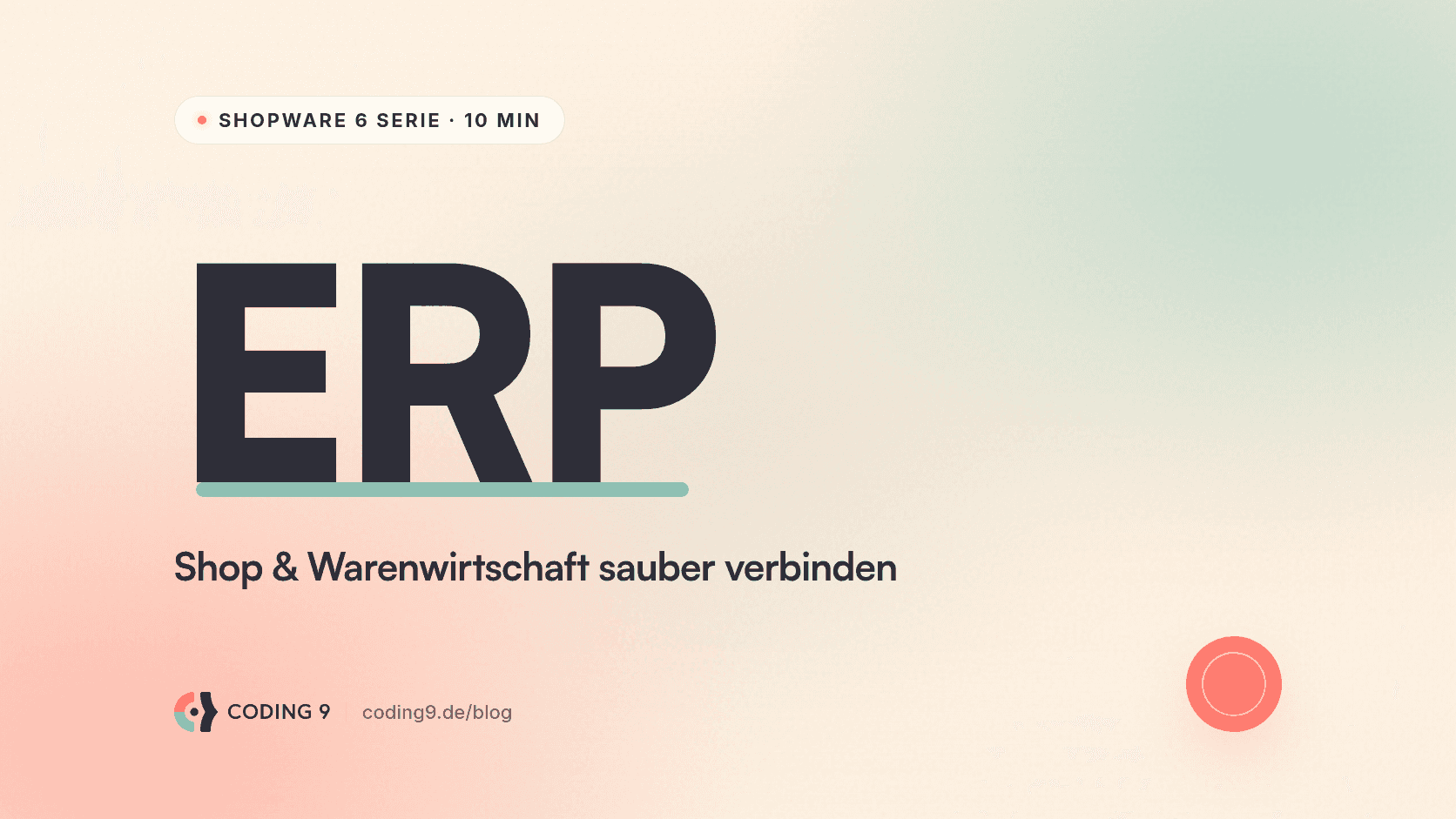 Shopware 6 mit ERP & Warenwirtschaft verbinden: Admin API, Sync & Integration
