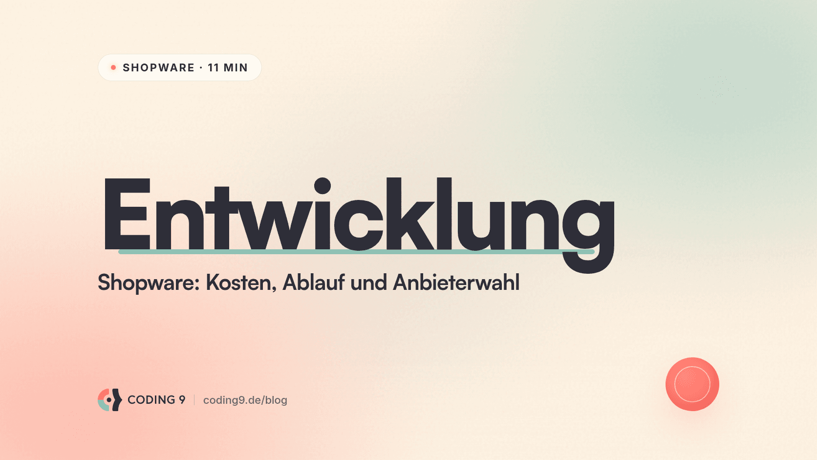 Shopware Entwicklung: Kosten, Ablauf und Anbieterwahl - der Entscheider-Guide (2026)